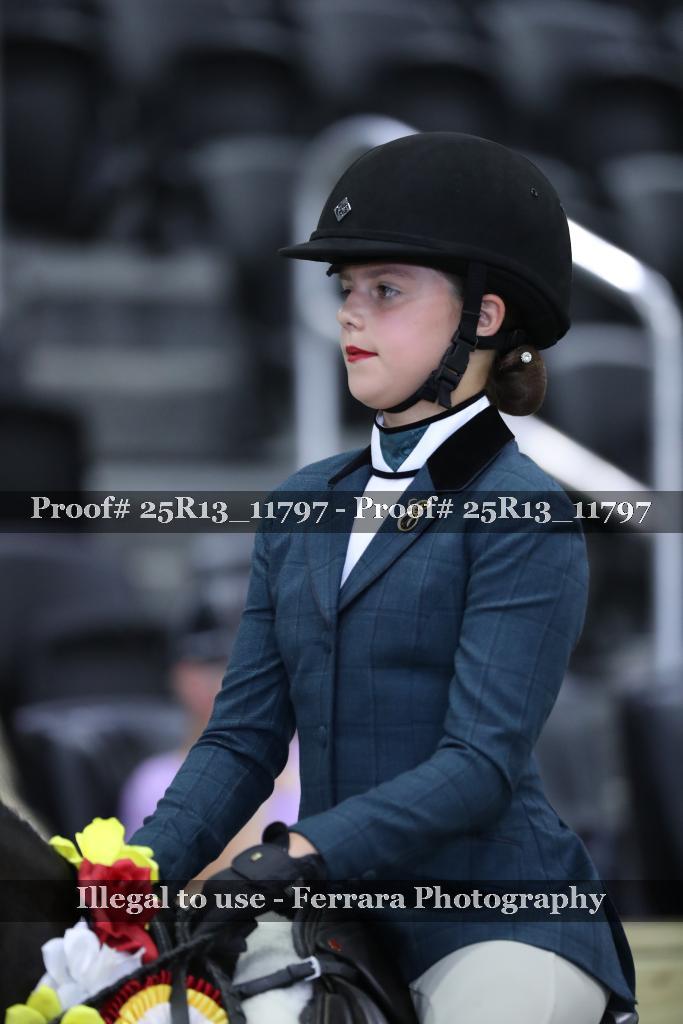 Proof 25R13_11797