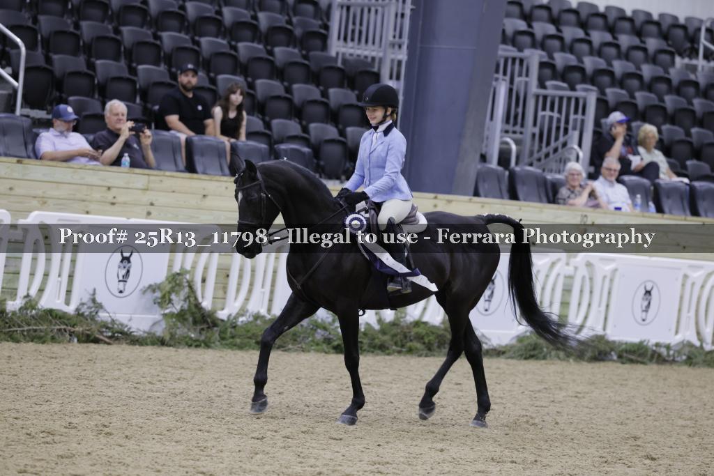 Proof 25R13_11798
