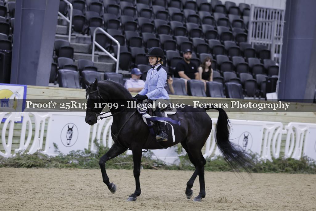 Proof 25R13_11799