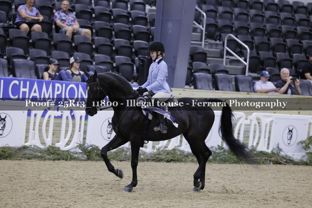 Proof 25R13_11800