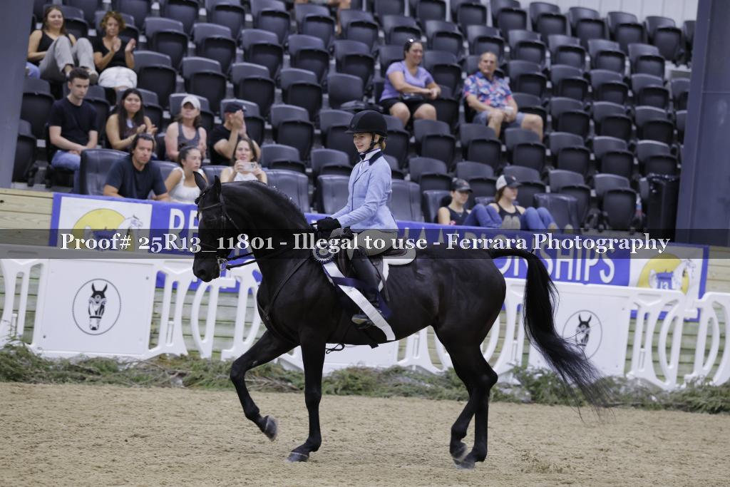 Proof 25R13_11801