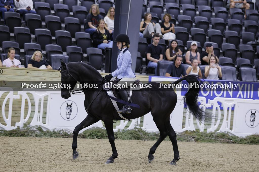 Proof 25R13_11802