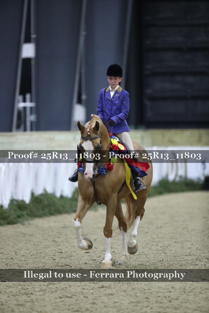 Proof 25R13_11803