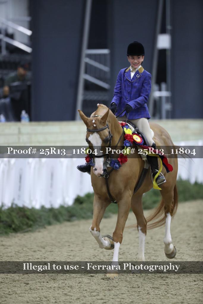 Proof 25R13_11804