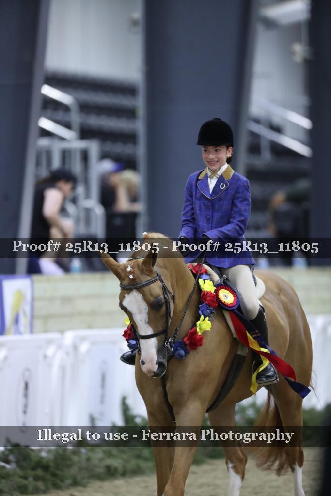 Proof 25R13_11805