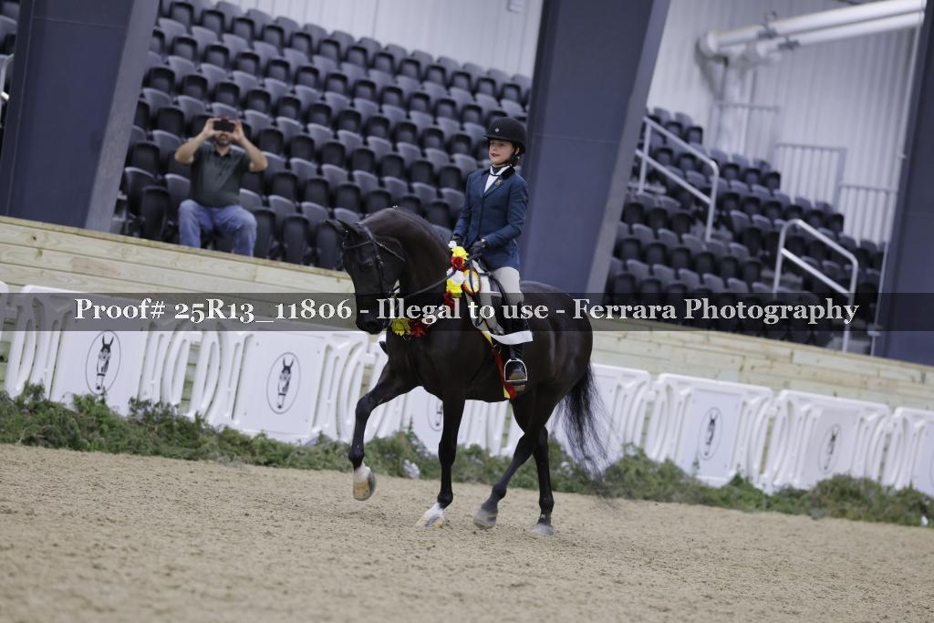 Proof 25R13_11806