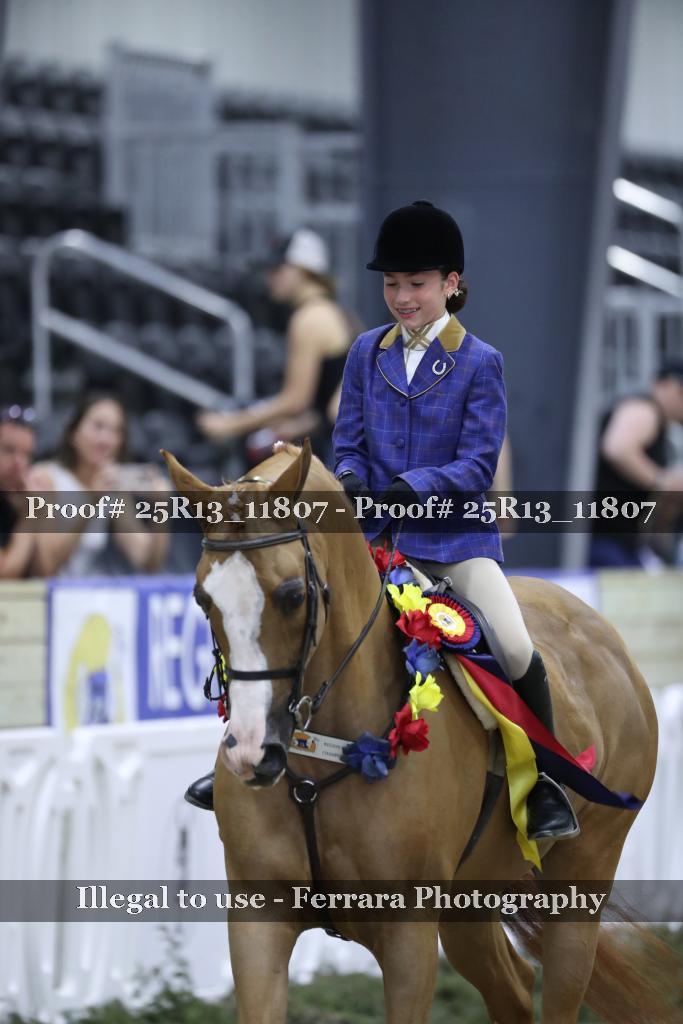 Proof 25R13_11807