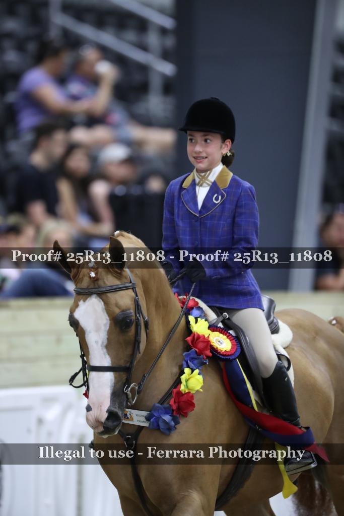 Proof 25R13_11808