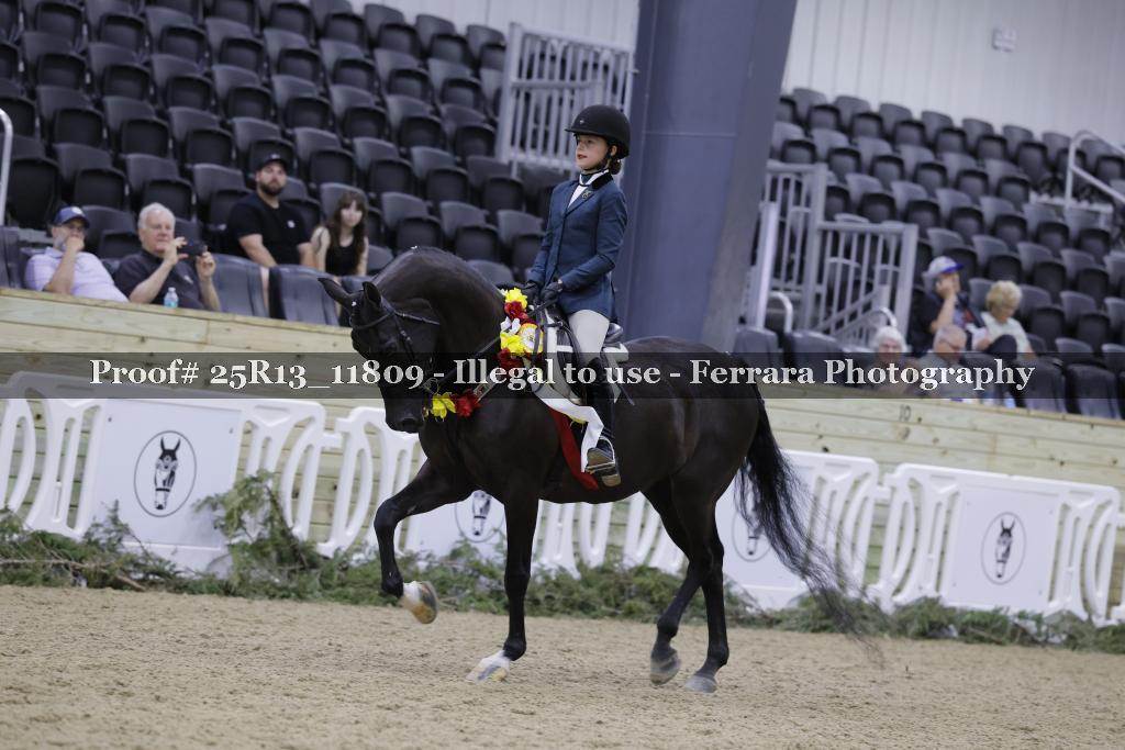 Proof 25R13_11809
