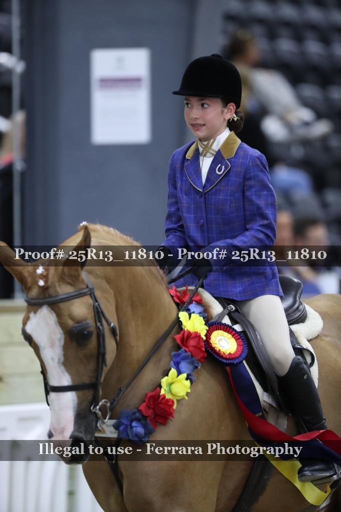Proof 25R13_11810