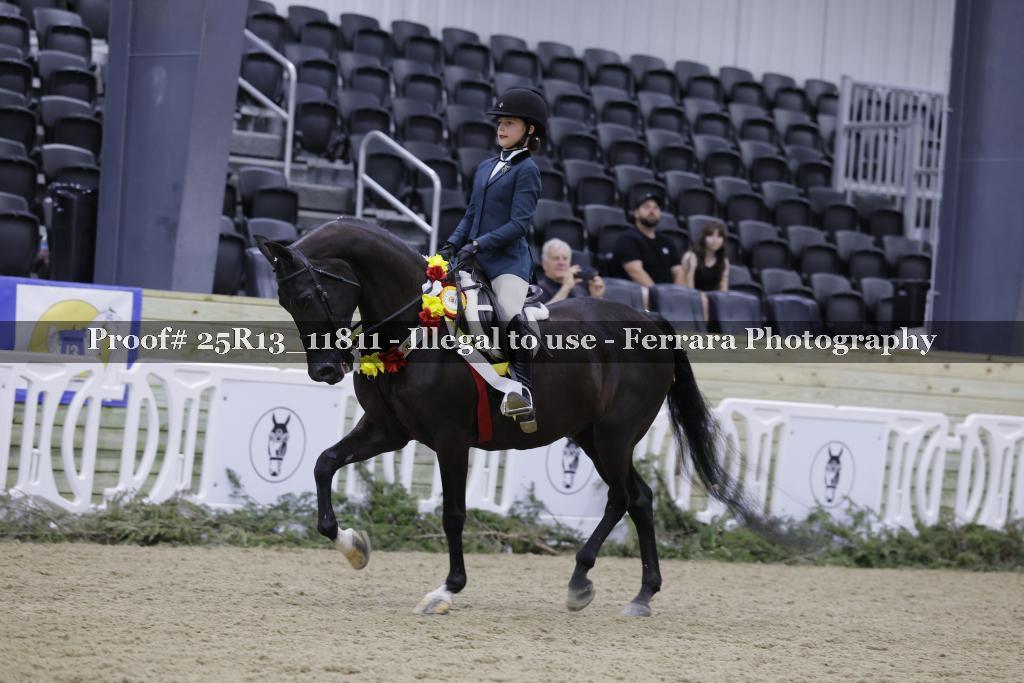 Proof 25R13_11811