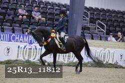 25R13_11812 proof