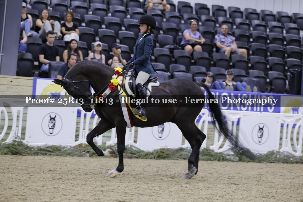 Proof 25R13_11813