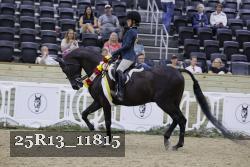 25R13_11815 proof