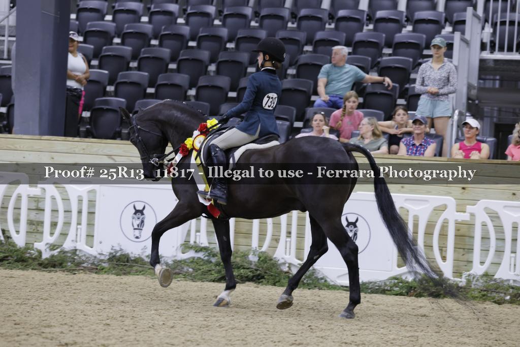 Proof 25R13_11817