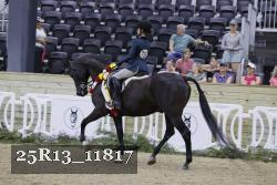 25R13_11817 proof