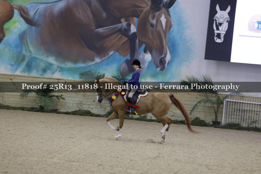 Proof 25R13_11818