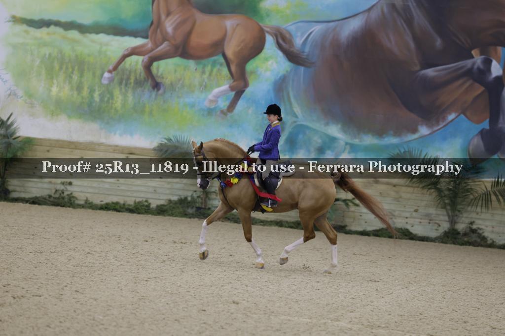 Proof 25R13_11819