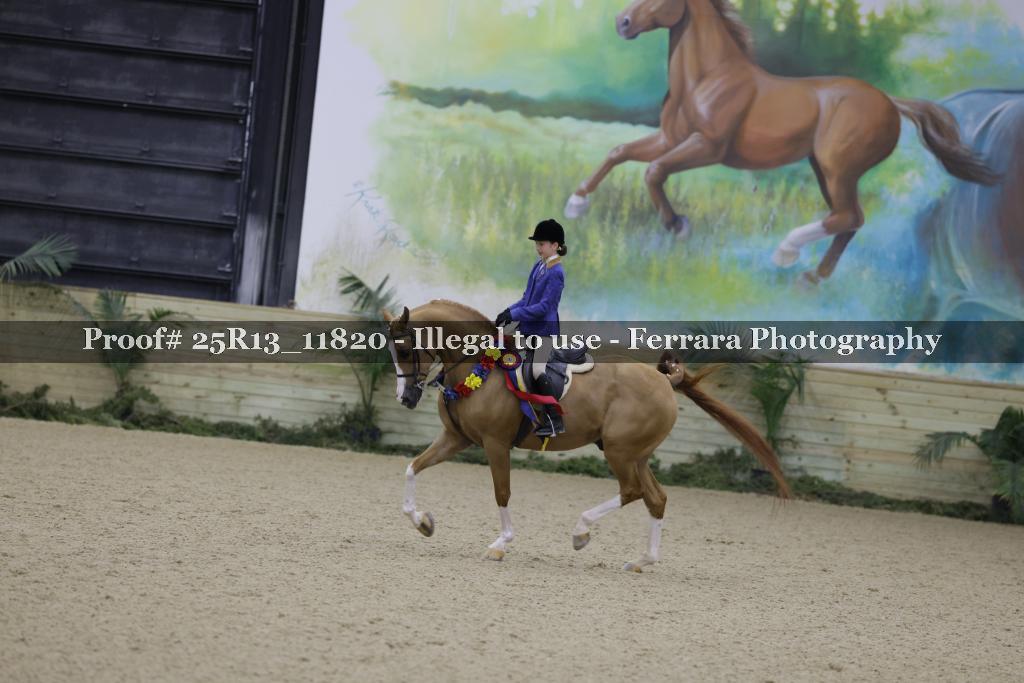 Proof 25R13_11820