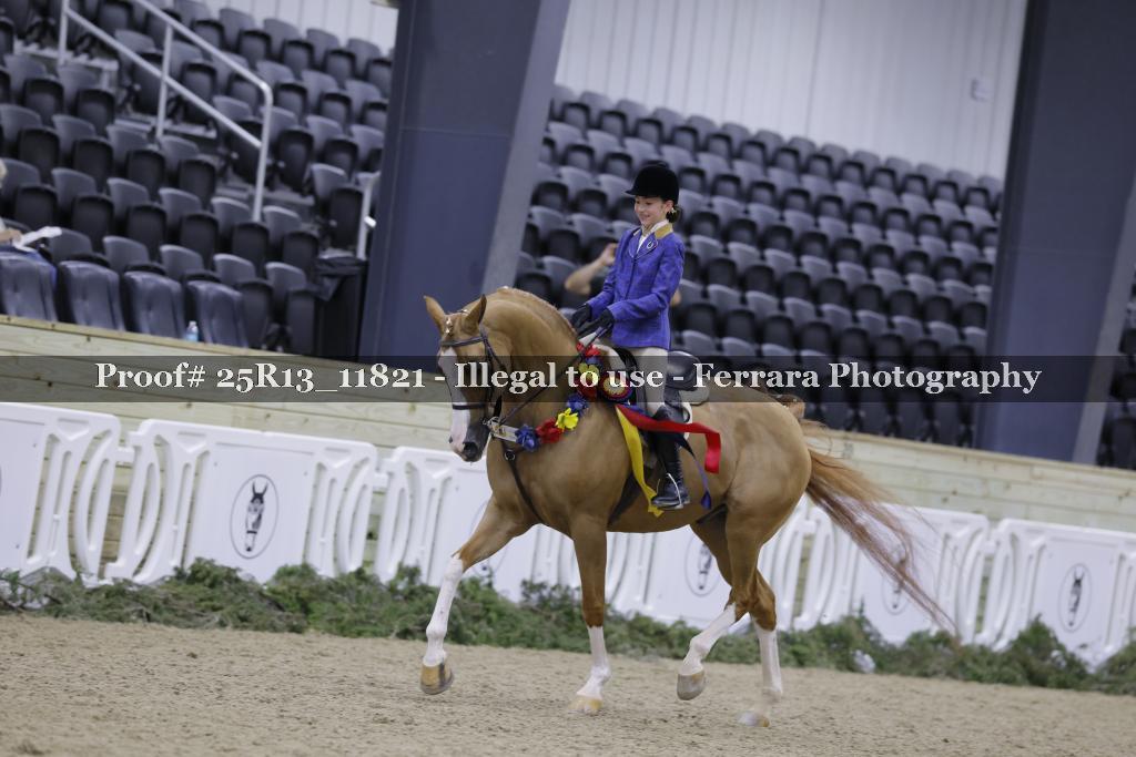 Proof 25R13_11821