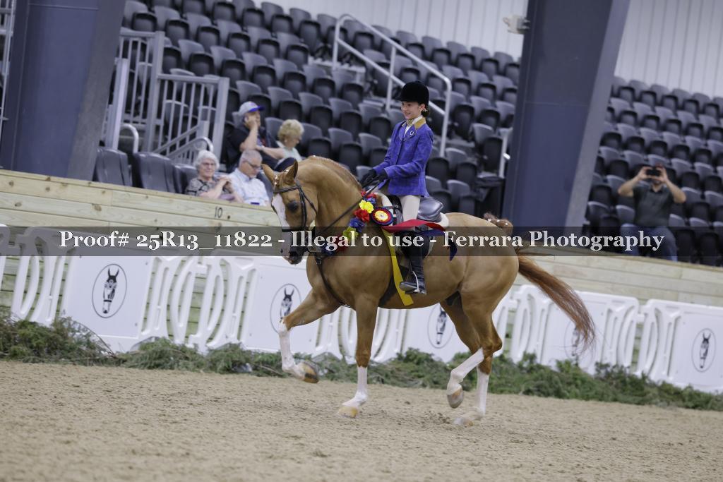 Proof 25R13_11822