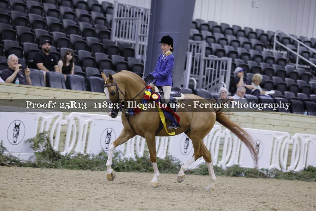 Proof 25R13_11823