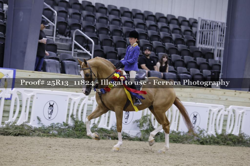 Proof 25R13_11824