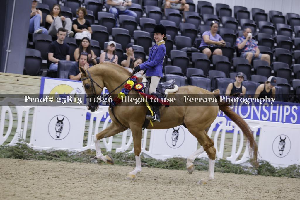 Proof 25R13_11826