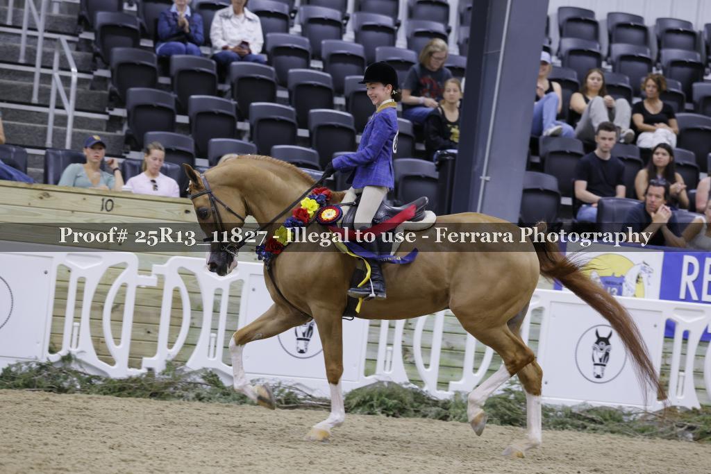 Proof 25R13_11827
