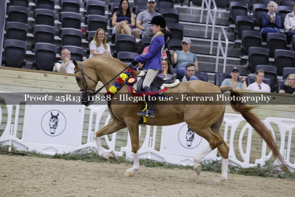 Proof 25R13_11828