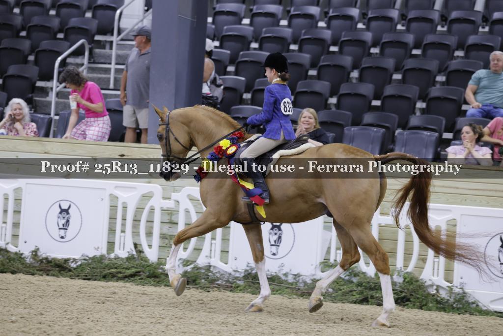 Proof 25R13_11829