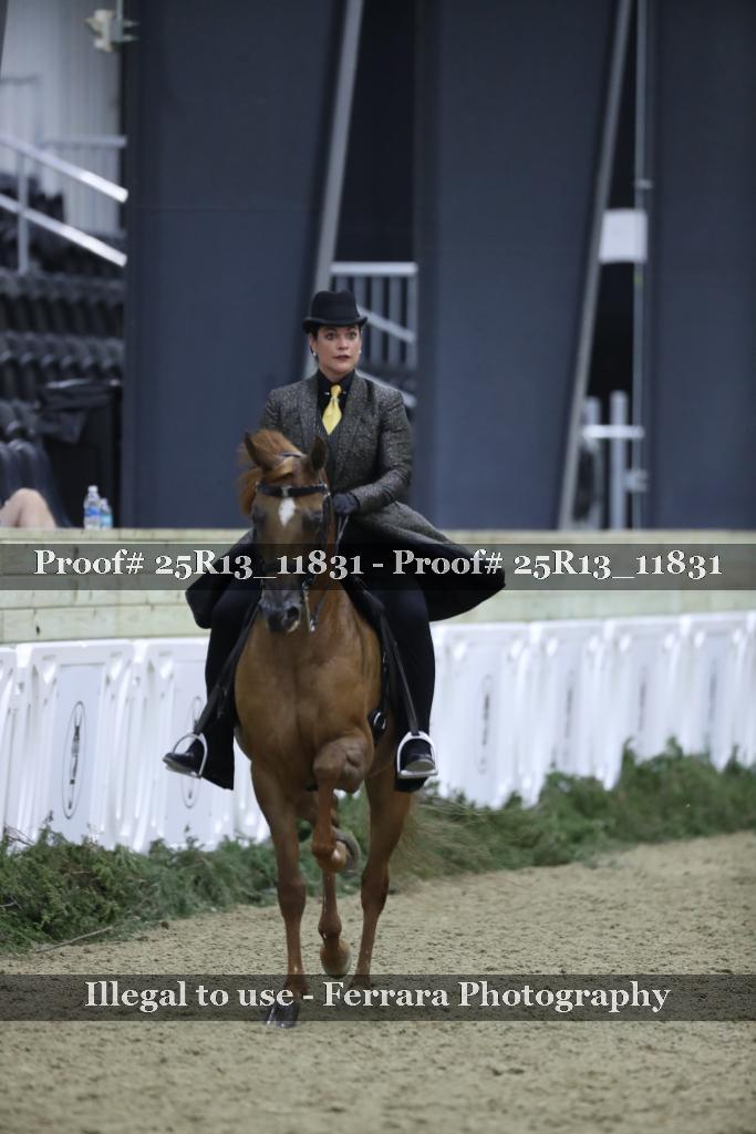 Proof 25R13_11831