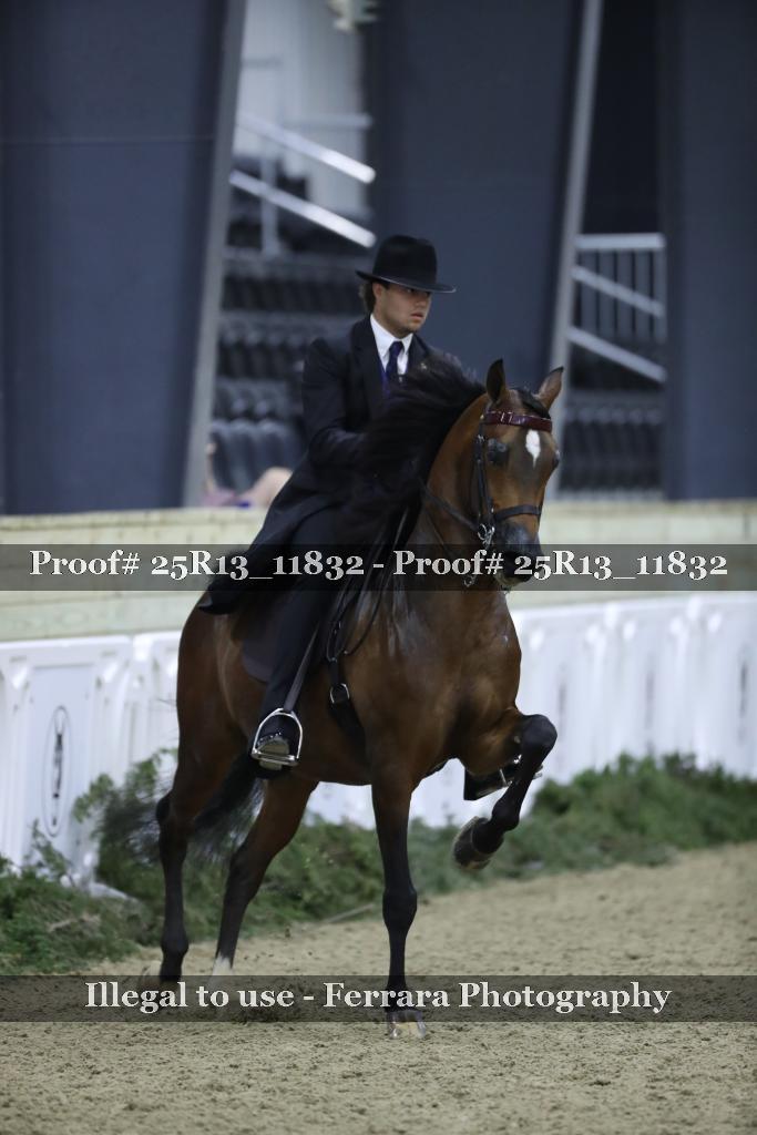 Proof 25R13_11832