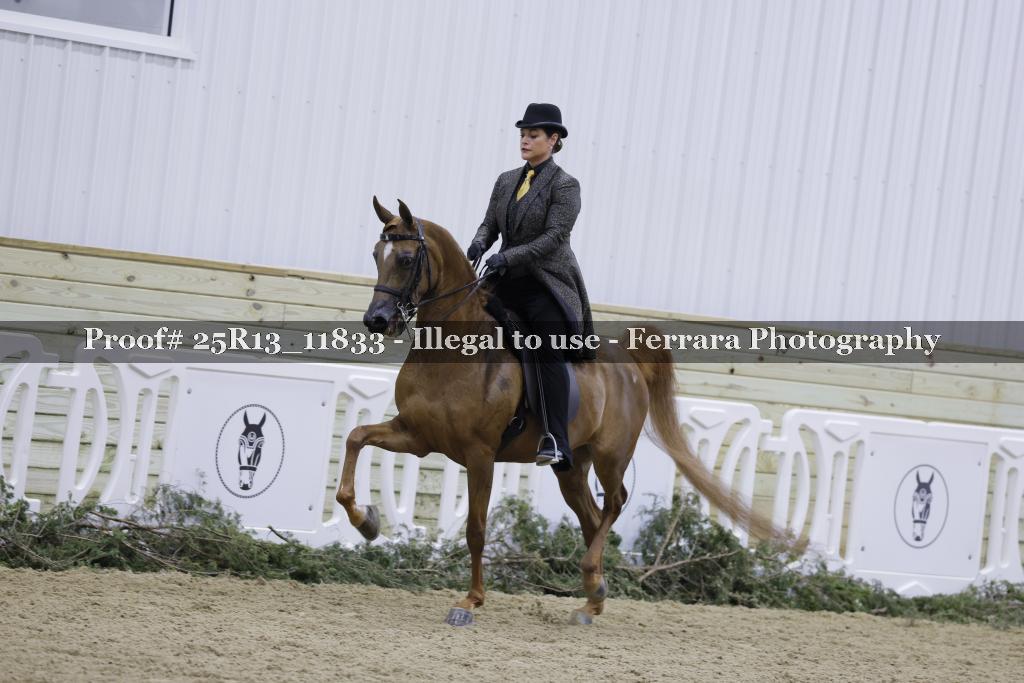Proof 25R13_11833