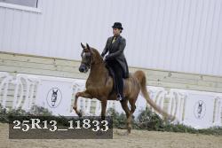 25R13_11833 proof