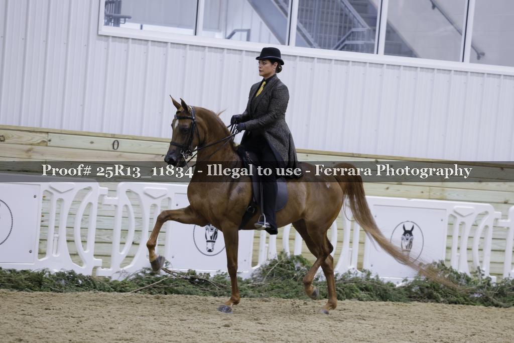 Proof 25R13_11834