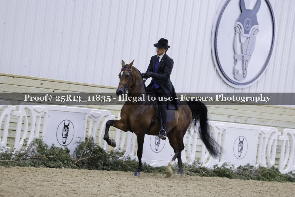 Proof 25R13_11835