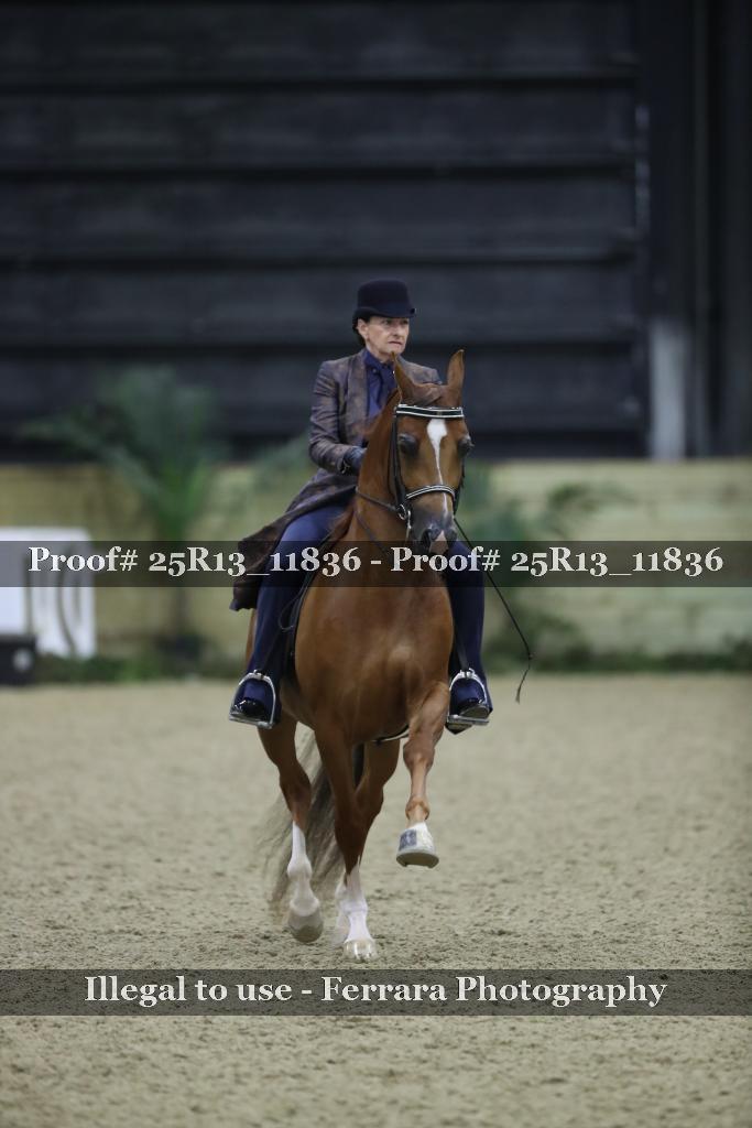 Proof 25R13_11836