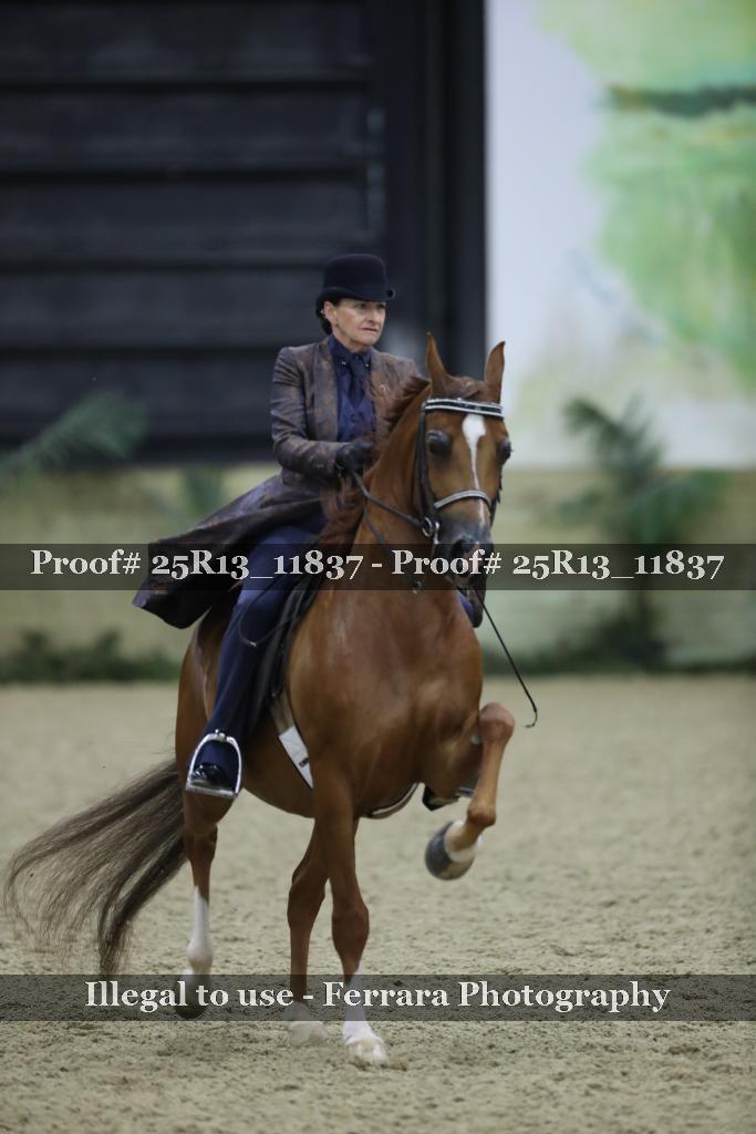 Proof 25R13_11837
