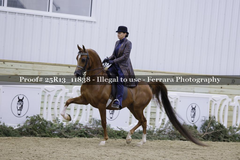 Proof 25R13_11838