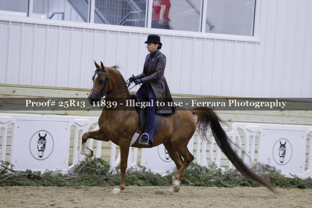 Proof 25R13_11839