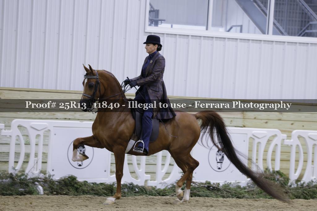 Proof 25R13_11840
