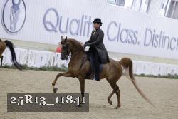 25R13_11841 proof