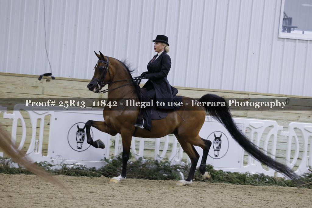 Proof 25R13_11842
