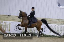 25R13_11842 proof