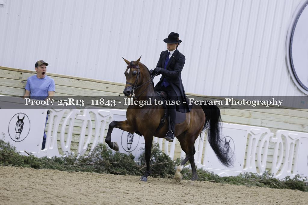 Proof 25R13_11843