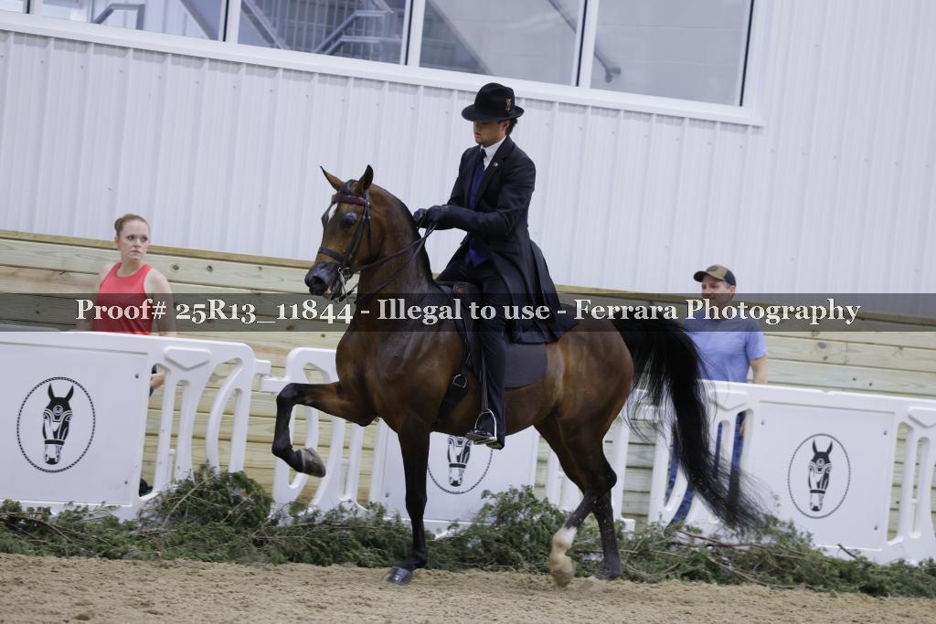 Proof 25R13_11844
