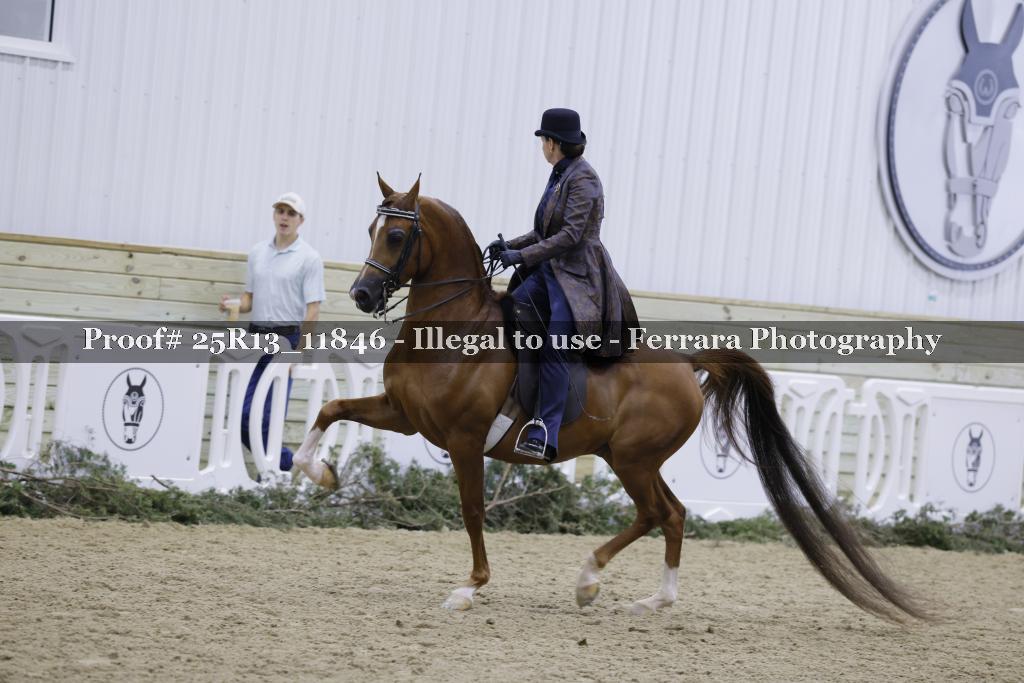 Proof 25R13_11846