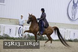 25R13_11846 proof