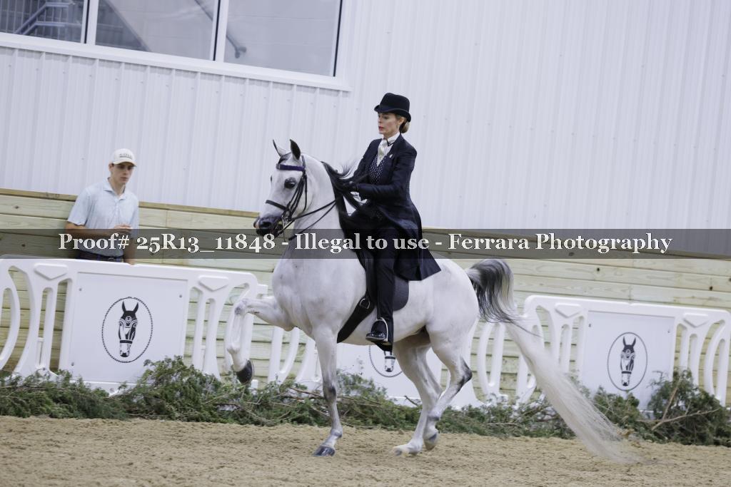 Proof 25R13_11848